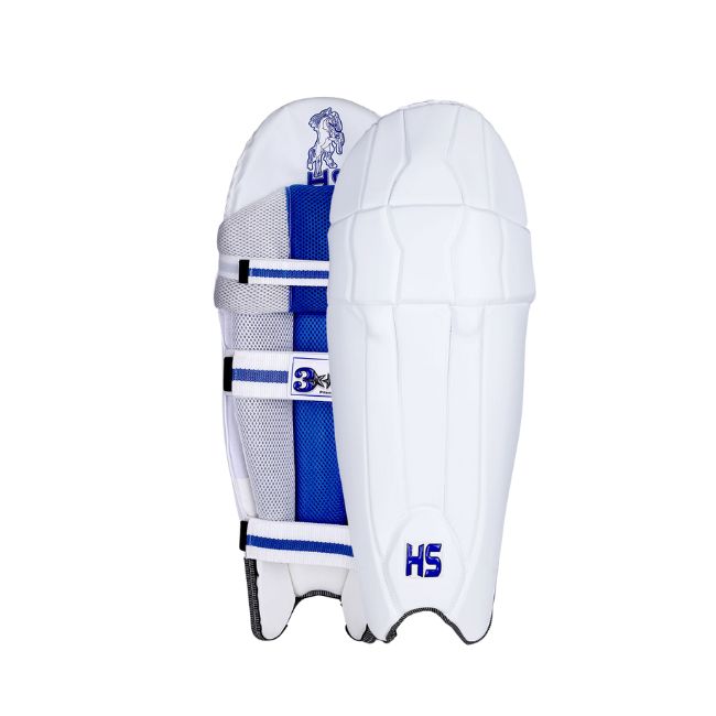 HS 3 Star Wicket Keeping Pads