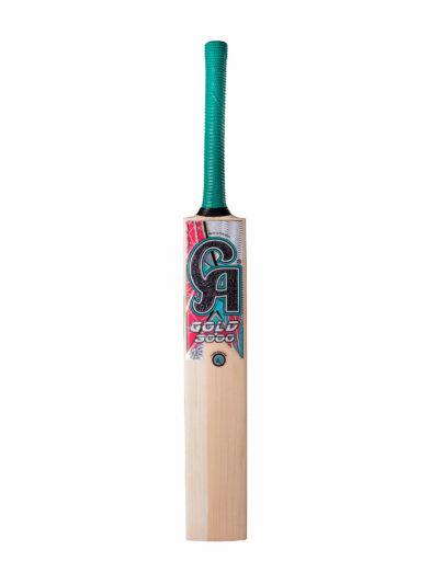 CA Gold 3000 Cricket Bat