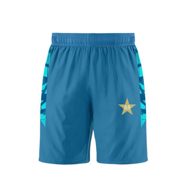 Matrix training shorts